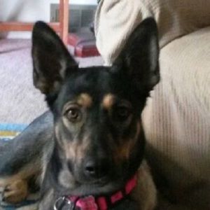 Meet your Posher, Kimberley